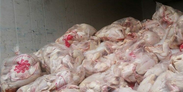۵۰۰ کیلوگرم گوشت مرغ غیربهداشتی در مشهد کشف شد