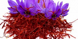 ۹۰درصد صادرات زعفران از استان های خراسان انجام می شود/حداکثر قیمت هر کیلو زعفران در بازار  ۱۲میلیون و ۵۰۰هزار تومان است