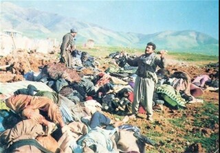 ۳۱ سال پس از جنایت صدام؛ حلبچه از وفای به ایرانی‌ها تا اثبات جرم غربی‌ها