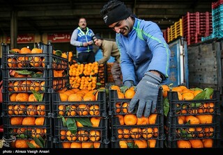 توزیع سه هزار تن میوه تنظیم بازار در استان در ایام عید تاکنون