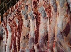 تولید ۹۰۰ تن گوشت قرمز در خراسان رضوی