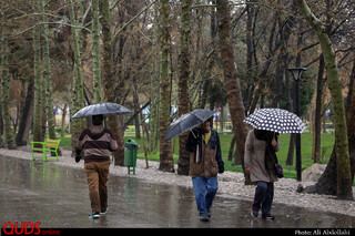 بارش باران بهاری در مشهد