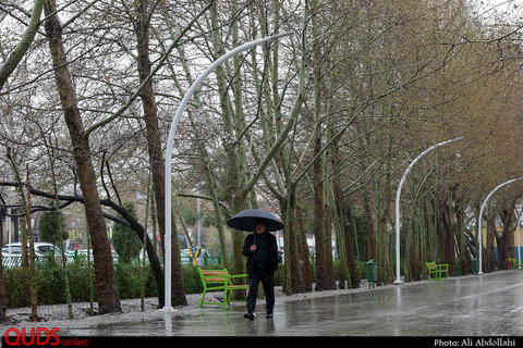 بارش باران بهاری در مشهد