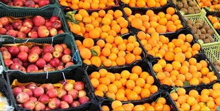 توزیع میوه تنظیم بازاری ادامه دارد