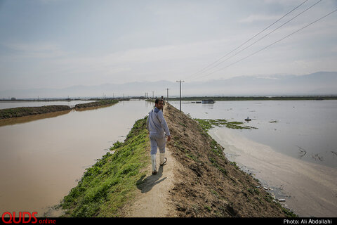 تلاش مردم برای جلوگیری از ورود سیلاب به روستا «یامپی» 