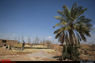 هیچ روستایی در ماهشهر، محاصره سیل قرار نگرفته است