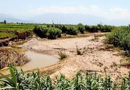 کشاورزی همدان از سیلاب نوروز ۹۸ آسیب دیده است