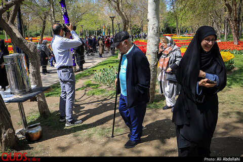 جشنواره گلهای پیازی در بوستان ملت مشهد
