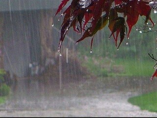 میزان بارندگی در تایباد ۱۰۰ درصد افزایش داشته است