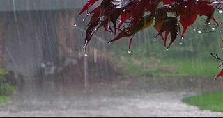  بارش باران در ۱۱ شهرستان خراسان رضوی 