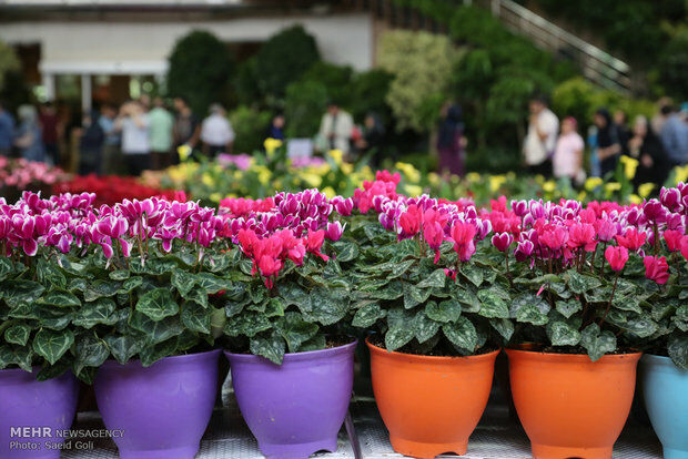 برگزاری هجدهمین نمایشگاه گل و گیاه در مشهد