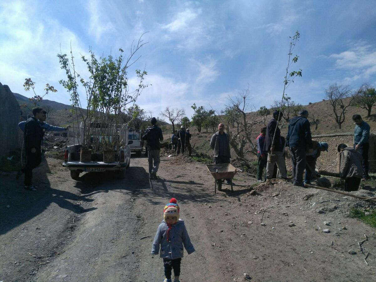 پویش مردمی کاشت نهال در روستای ییلاقی گستج
