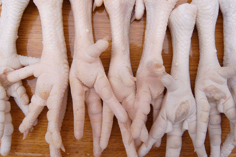 کشف بیش از ۸ تن پای مرغ غیربهداشتی در مشهد