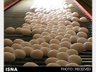 توقیف ۱۰ تن تخم مرغ فاقد نشانه‌گذاری در مشهد