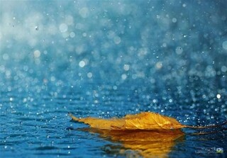 بارندگی‌های اخیر اتمام دوره خشکسالی را تضمین نمی‌کند