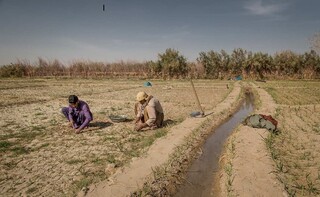 سیستان و بلوچستان تشنه مدیریت آب   