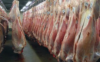 ۷۸ تن گوشت قرمز در مه‌ولات خراسان رضوی تولید شد