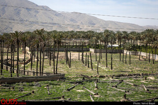مرگستان
