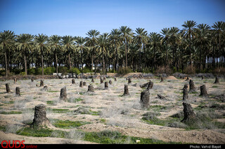مرگستان