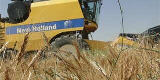 پایان برداشت محصولات زراعی در شهرستان امیدیه