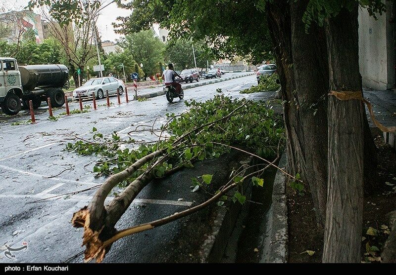  هشدار وقوع تندباد در تهران/ پیش بینی طوفان های "بعدازظهری" تا آخر هفته
