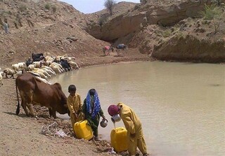 گودال های آب در سیستان و بلوچستان جان می دهد و جان می گیرد