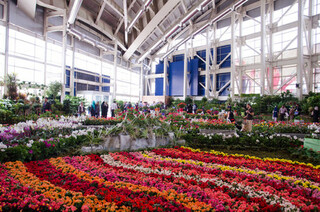 هجدهمین دوره نمایشگاه گل و گیاه در مشهد برگزار می شود