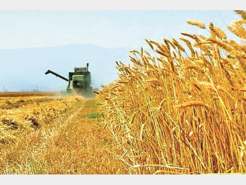 افزایش ظرفیت انبارهای ذخیره محصولات کشاورزی خراسان رضوی