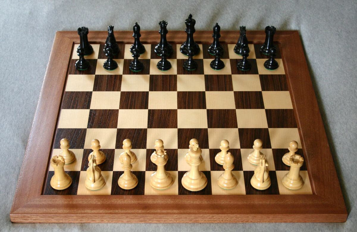 قهرمانی حامدی‌نیا و مصدق‌پور در مسابقات کشوری شطرنج