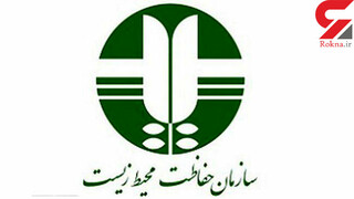 مدیرکل جدید حفاظت محیط زیست استان خوزستان منصوب شد