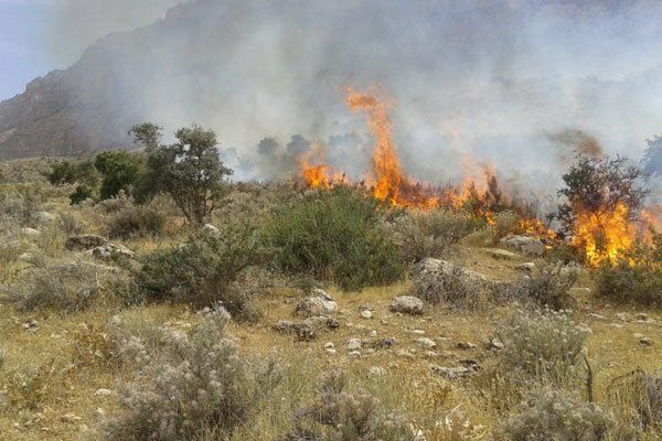 رصد مستمر عرصه های طبیعی خراسان رضوی به منظور جلوگیری از آتش سوزی