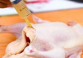استفاده از هورمون‌ها در پرورش مرغ گوشتی در ایران صورت نمی‌گیرد 
