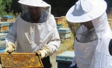 برگزاری کارگاه آموزشی بهداشت زبور عسل در بشرویه
