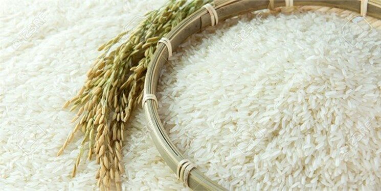 چرا قیمت برنج پاکستانی قد کشید؟ 
