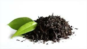  تولید ۱۴هزار تن چای خشک در کارخانه های گیلان و مازندران