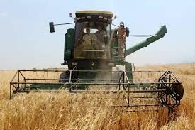 ۳۵۰ دستگاه کمباین برای برداشت گندم در خراسان شمالی بکارگیری شد