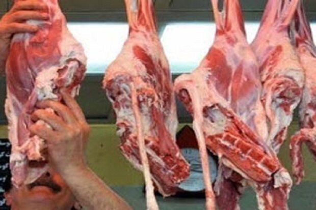 فروشندگان گوشت غیرمجاز برای دریافت مجوز اقدام کنند