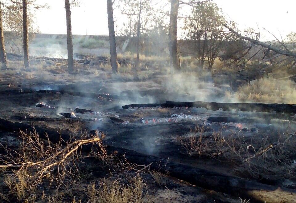 ۶۵ هکتار اراضی خمین در آتش سوخت