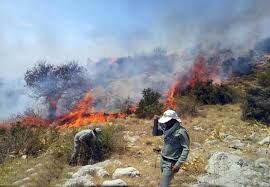 مهار آتش‌سوزی گسترده در ارتفاعات سد طرق