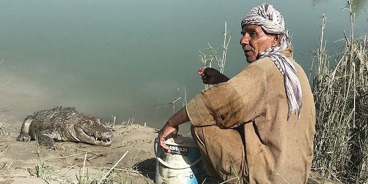همزیستی مخاطره‌آمیز بومیان جنوب سیستان و بلوچستان با تمساح‌ها  
