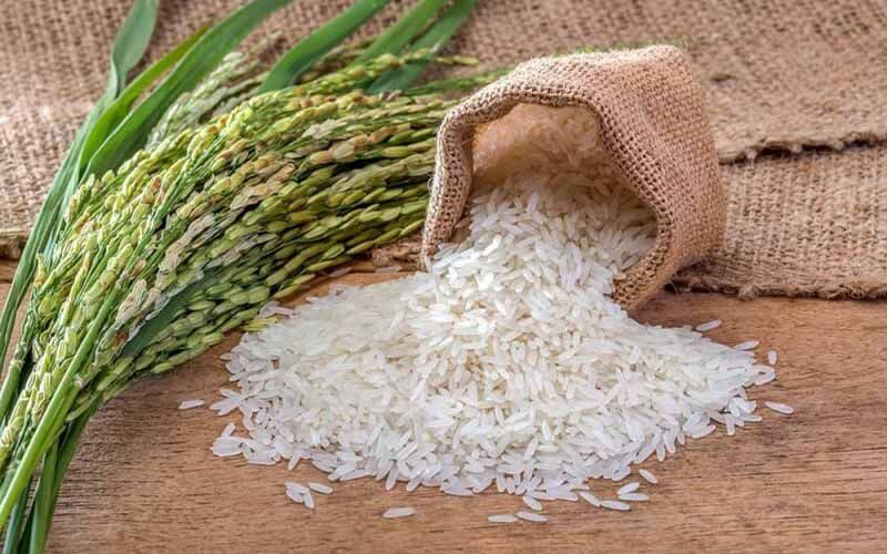 ۷۵۰ هزار تن برنج سفید در گیلان تولید می شود