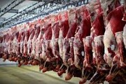 تولید گوشت قرمز در خراسان رضوی افزایش یافت