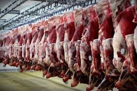 استحصال بیش از ۵۰۰ تن گوشت قرمز در کشتارگاه سنتی ابرکوه 