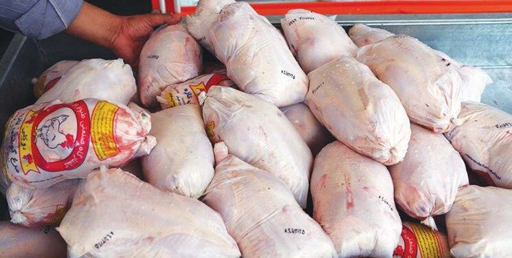 مشکل کمبود مرغ در بوشهر رفع شد