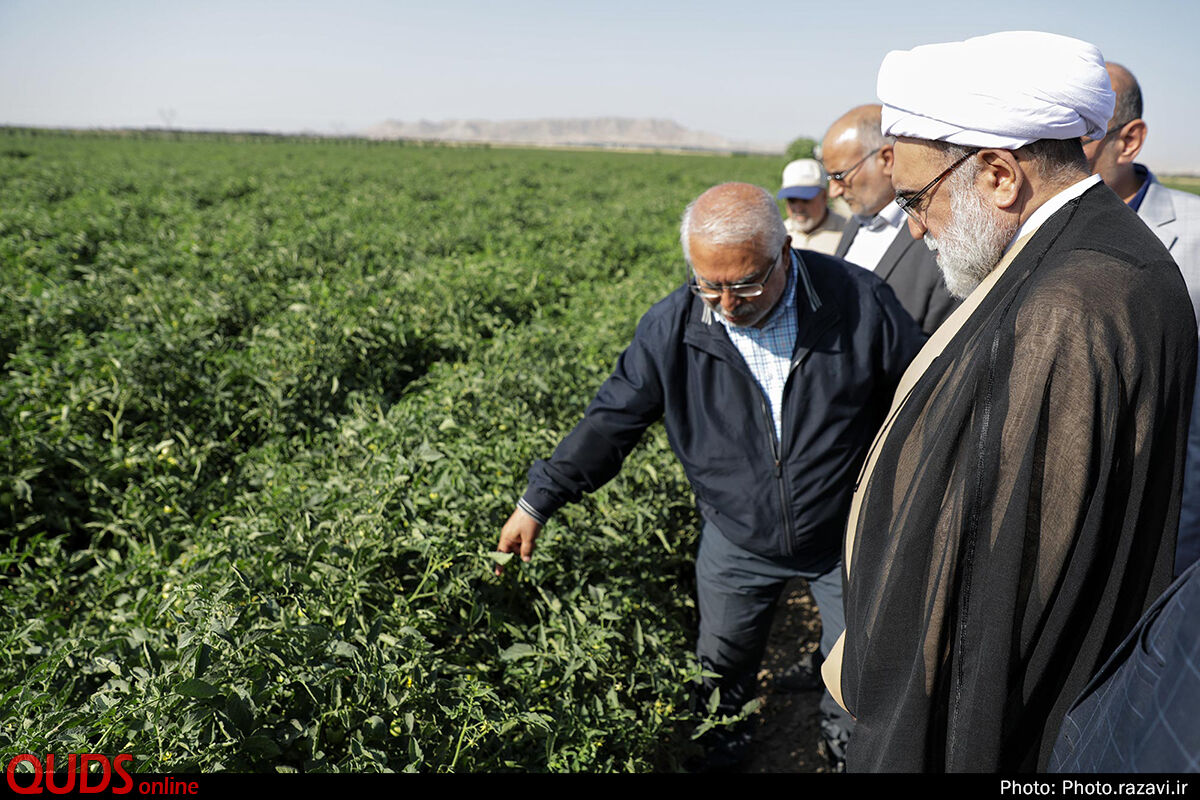 بازدید تولیت آستان قدس رضوی از مزرعه نمونه