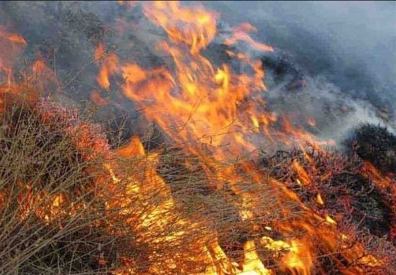 از بین رفتن ۳ هکتار از مراتع کلات در آتش سوزی
