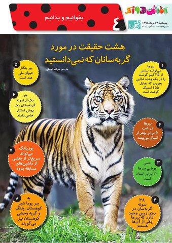 Vij-Kafshdoozak-No-64-new-new.pdf - صفحه 4