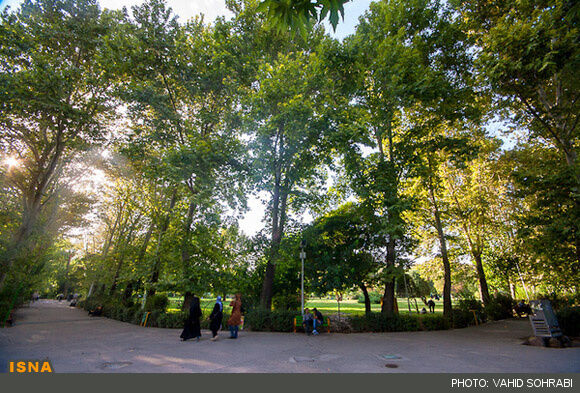 افزایش ۱۲ هزار متر مربعی فضای سبز مشهد تا پایان تابستان
