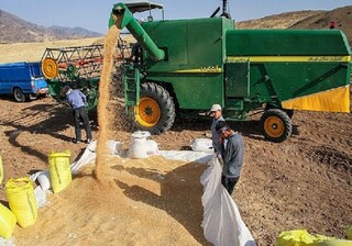 ۷۸۱ میلیارد ریال تسهیلات مکانیزاسیون کشاورزی خراسان رضوی در حال پرداخت است