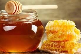 افزایش فعالیت جوانان در تولید عسل گیلان